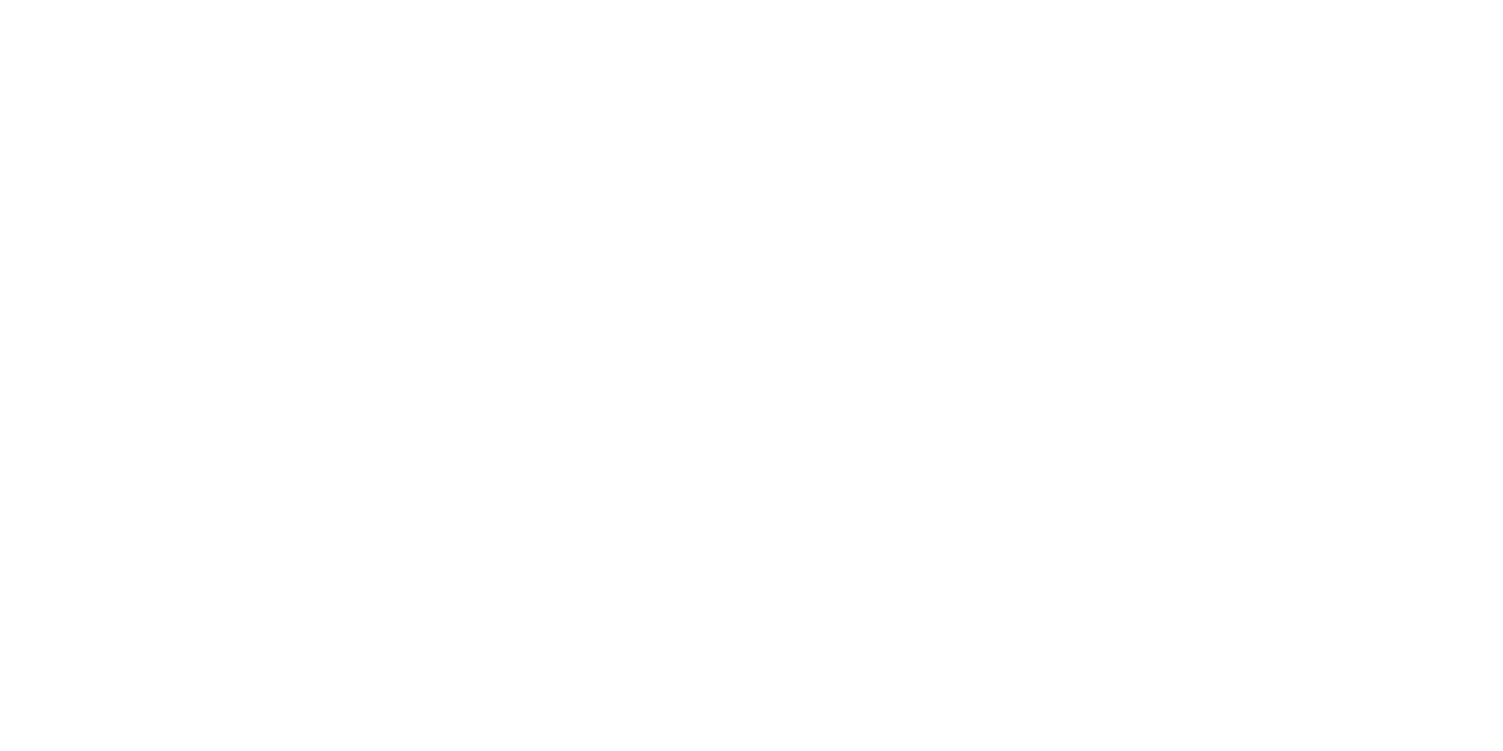 Brand Partner