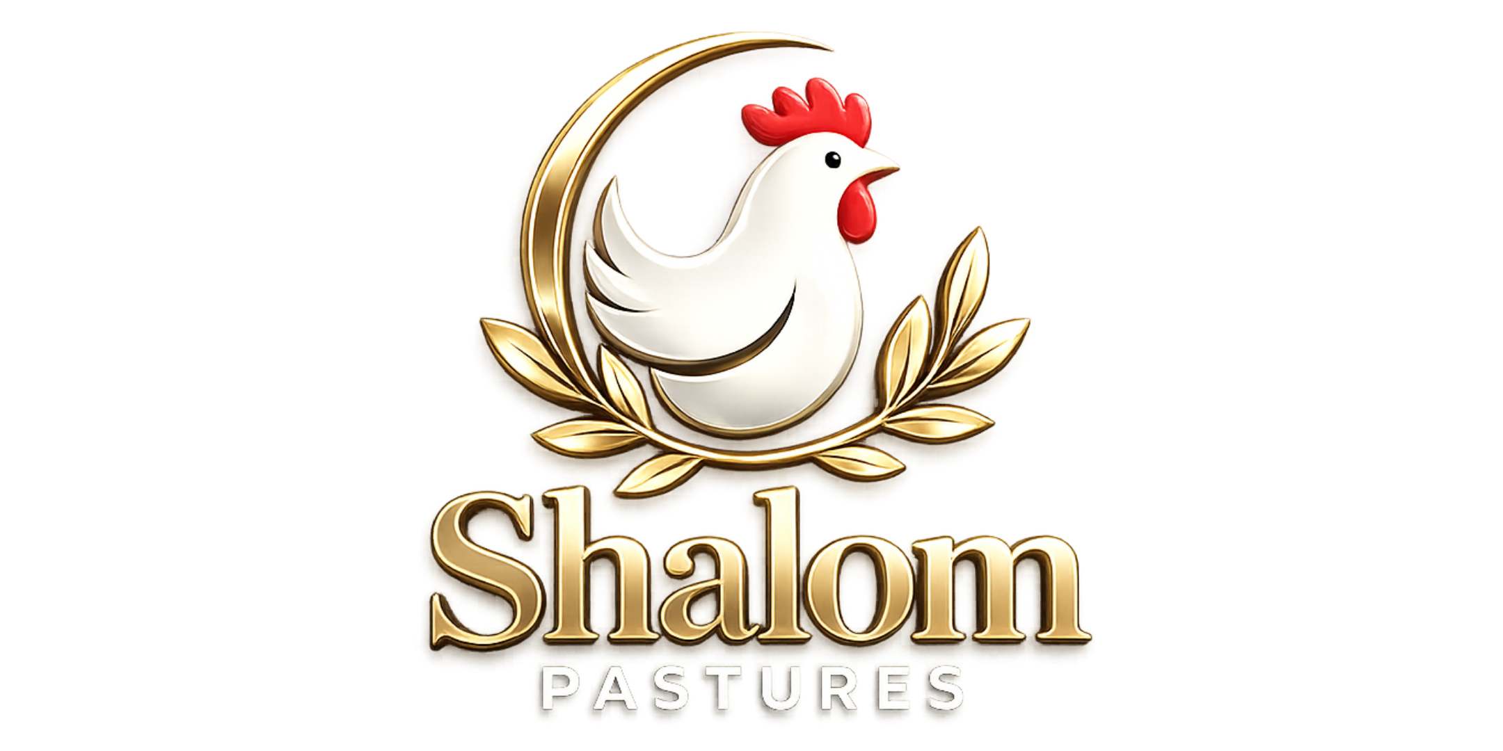 Brand Partner