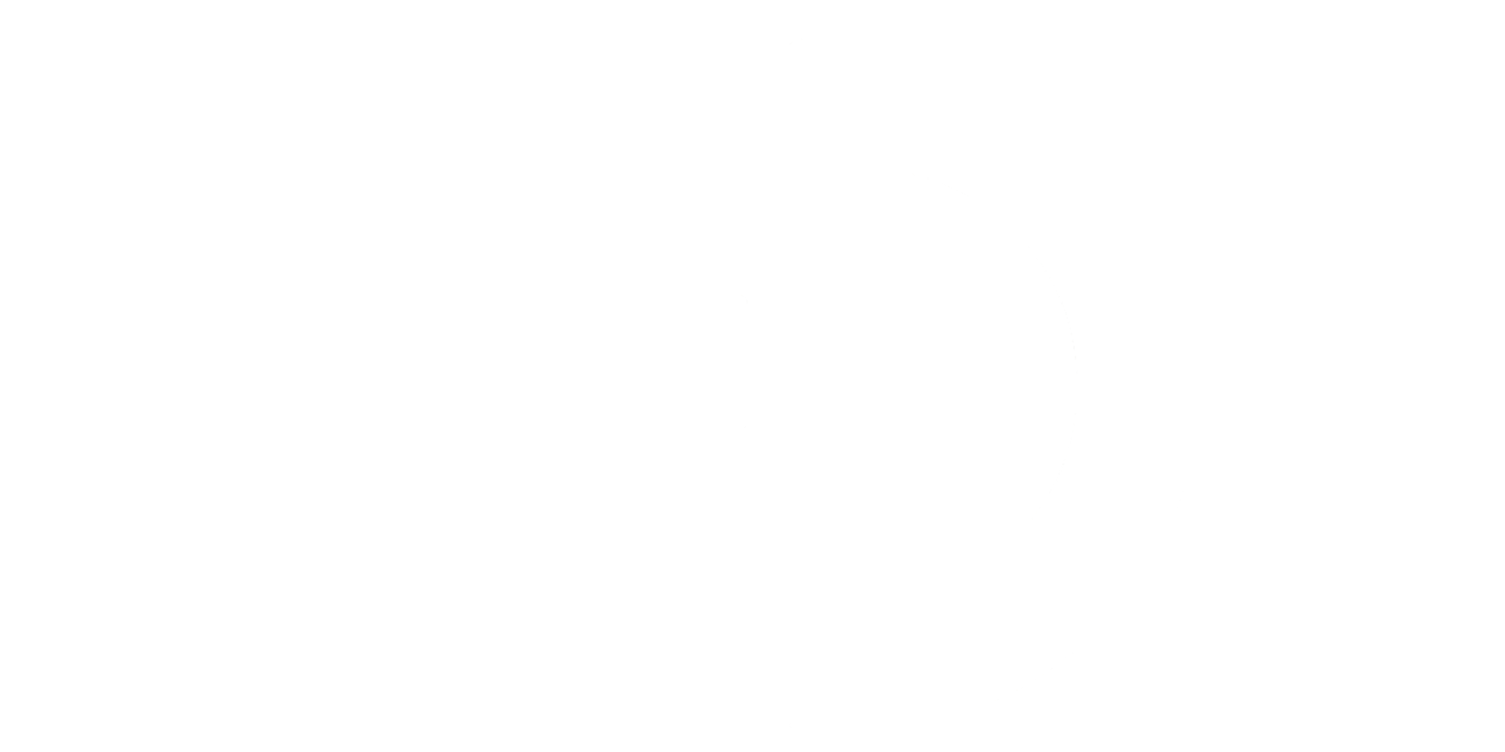 Brand Partner